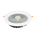 Lvshi S01 Downlight