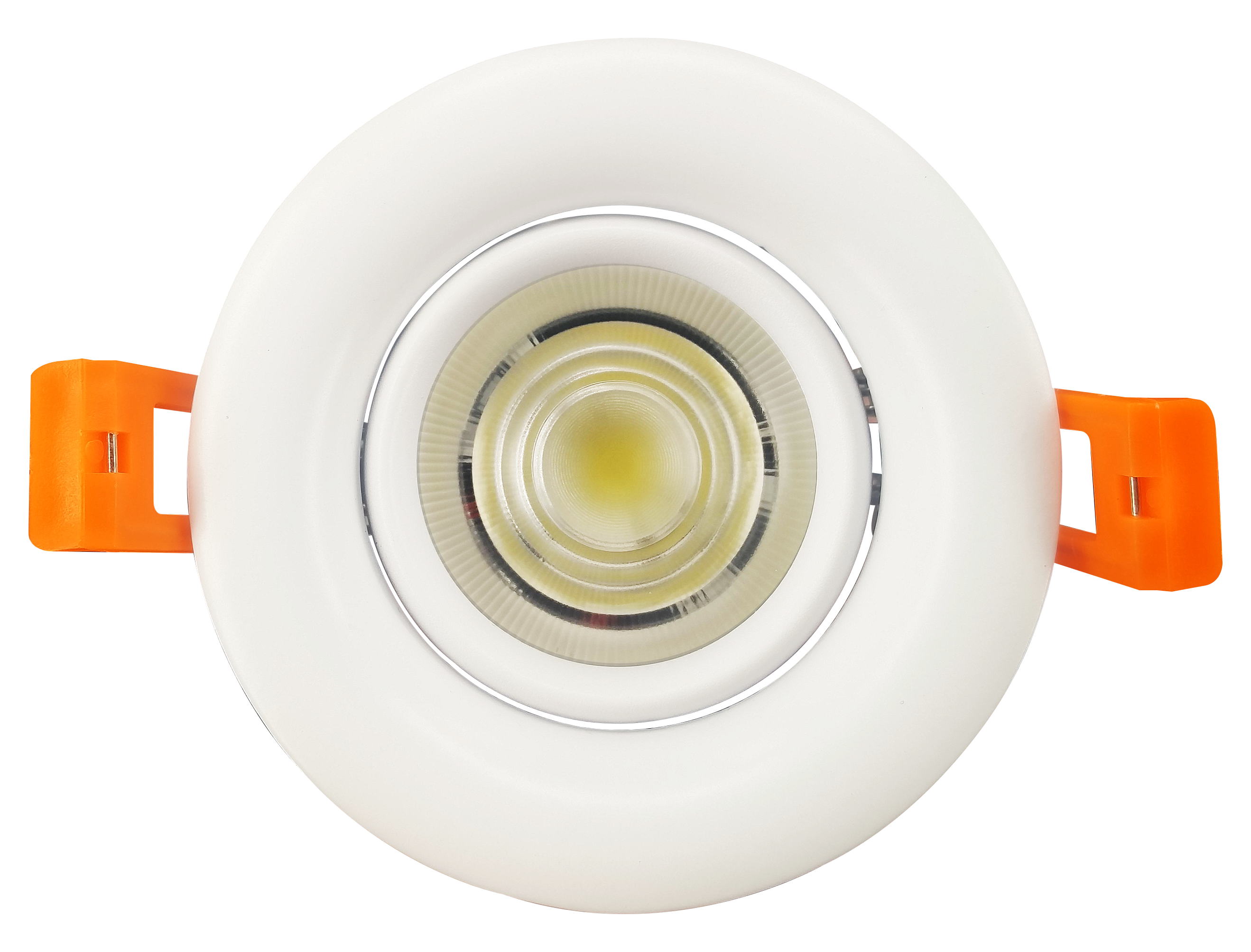 Lvshi P Series Spotlight
