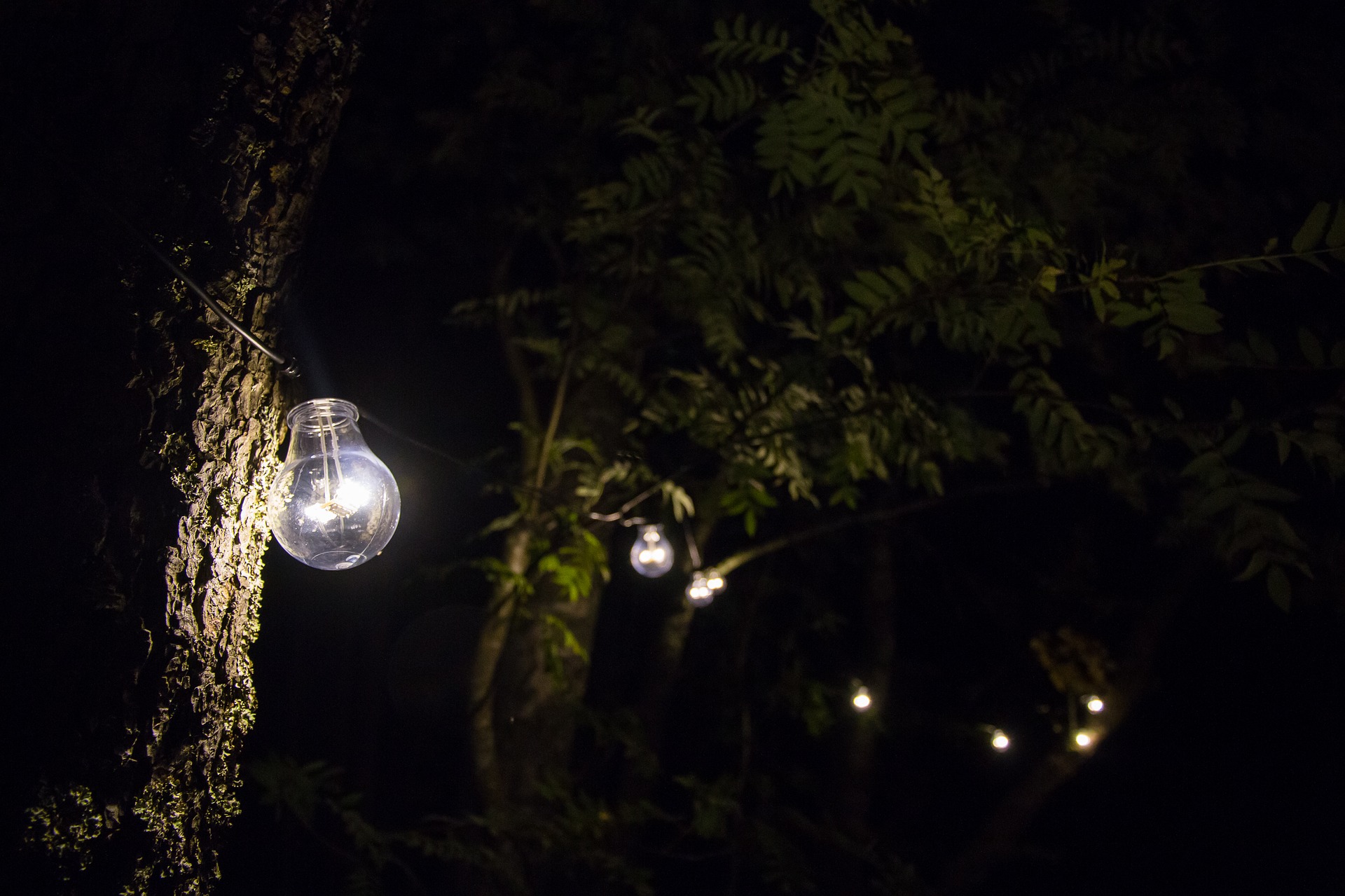 Turn off Street Lights for Part of the Night Brings Ecological Benefits, Says Study