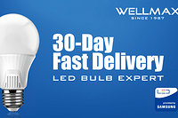 Why Only WELLMAX Could Help Out the 3 Million LED Bulbs Bid Winning LED Trader?