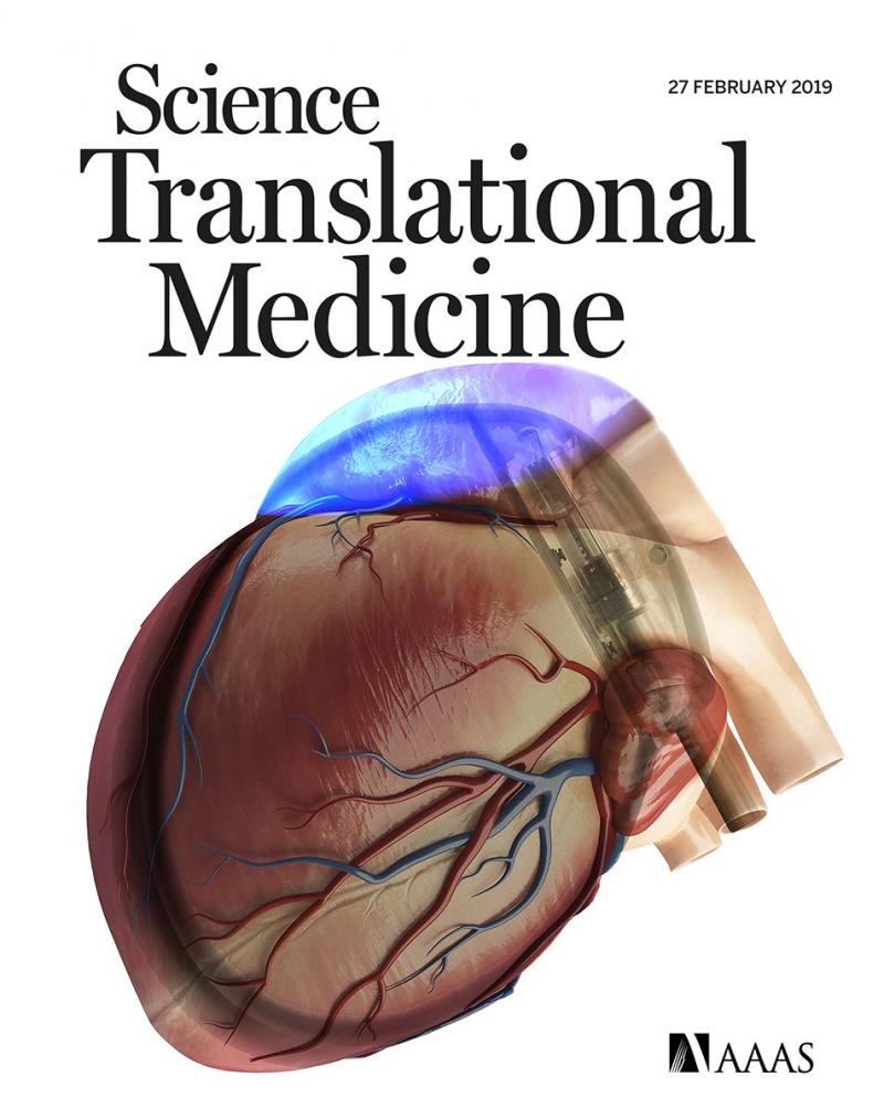 Scientists Use LED to Cure Heart Rhythm Disorder with Gene Therapy