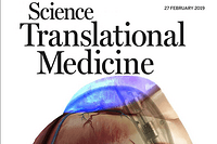Scientists Use LED to Cure Heart Rhythm Disorder with Gene Therapy