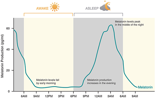 Blue-enriched LED Lighting to Boost Energy in the Morning