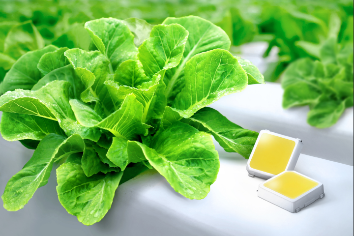 Samsung Introduces Benefits of Horticulture LEDs for Vertical Farming