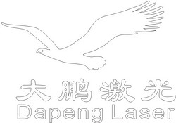 Shenzhen Dapeng Laser Technology Co., Ltd.