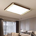 Iron, Modern Style, Rectangle Ceiling Lamp