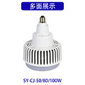 Bulb (SY-CJ-05/80/100W)