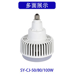 Bulb (SY-CJ-05/80/100W)