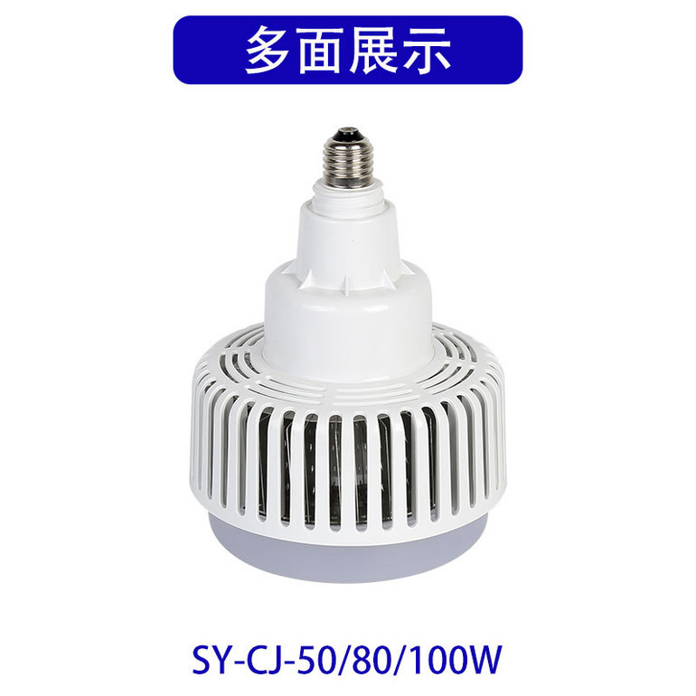 Bulb (SY-CJ-05/80/100W)