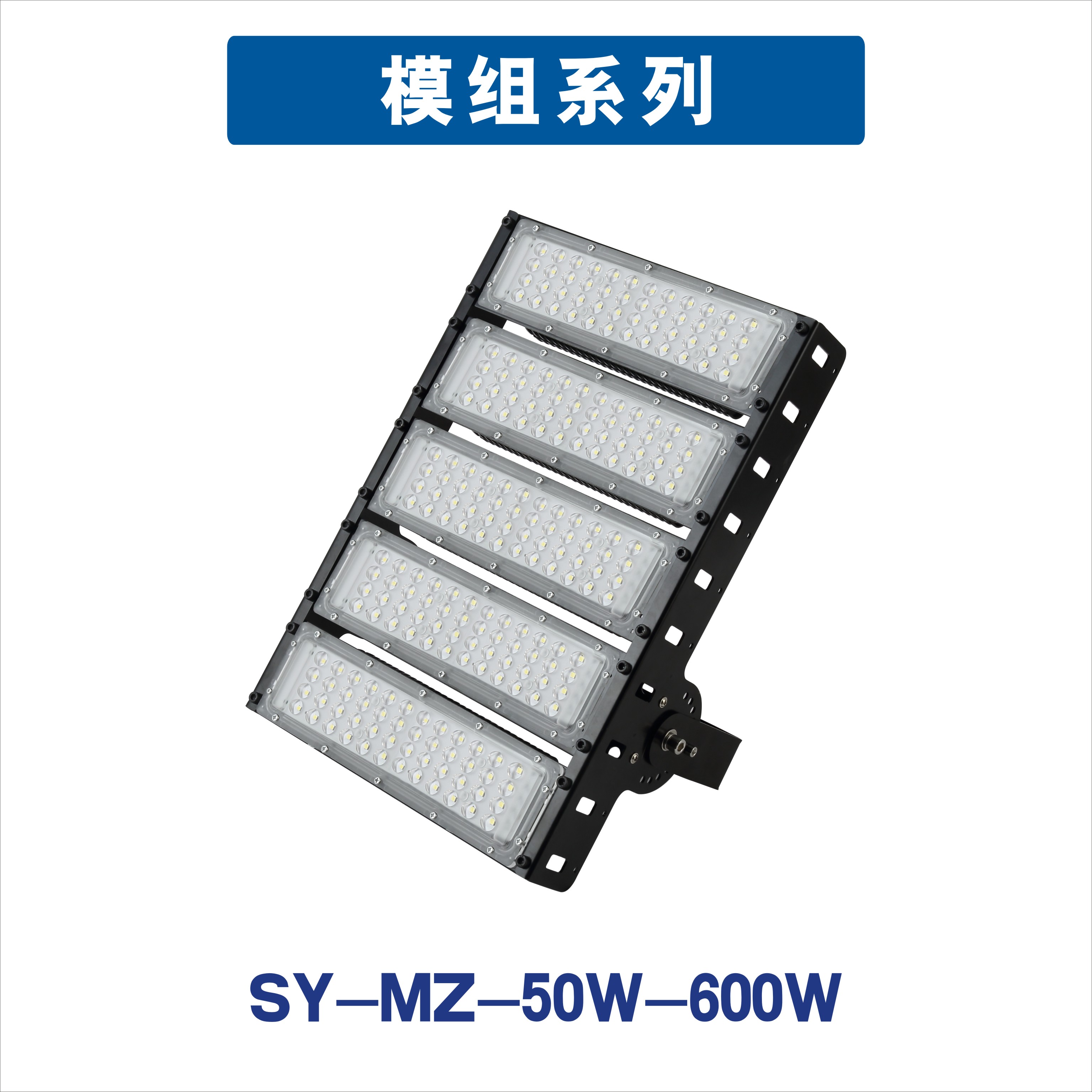 Module (SY-MZ-50W-600W)