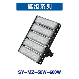 Module (SY-MZ-50W-600W)