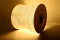 3038-10mm-144D-Warm light