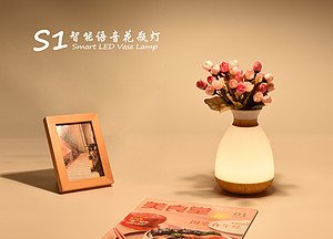 S1 Intelligent Voice Vase Lamp