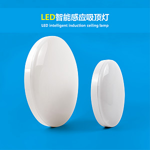 Intelligence Sensor Ceiling Lamp