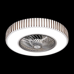 Smart fan light 5