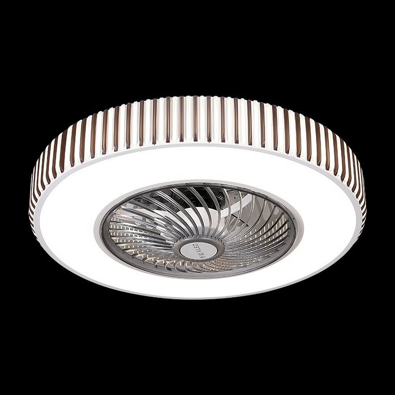 Smart fan light 5