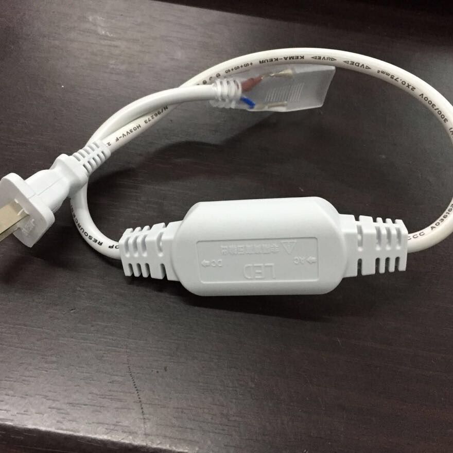 Electric Plug
