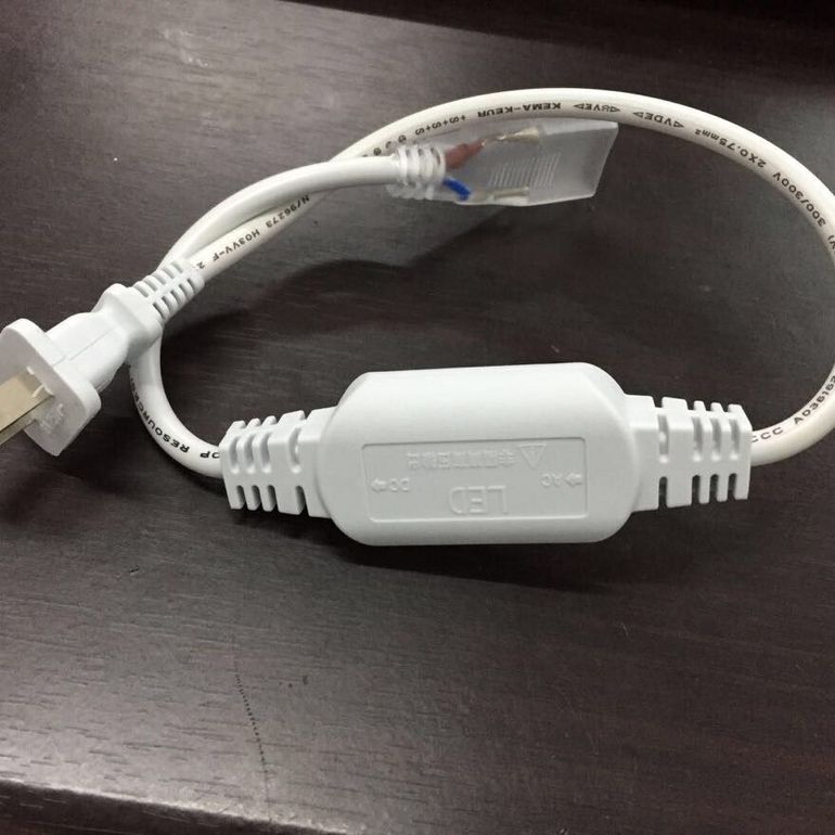 Electric Plug