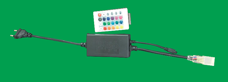 Electric Plug
