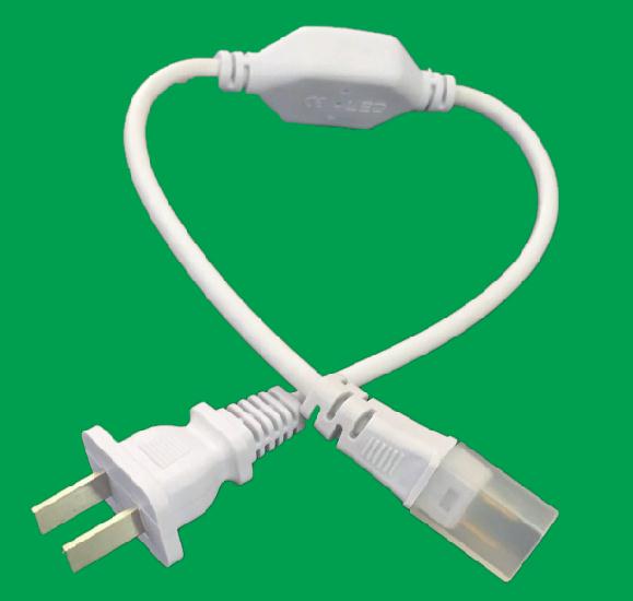 Electric Plug