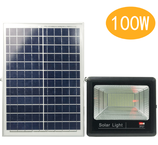 Floodlight 100W