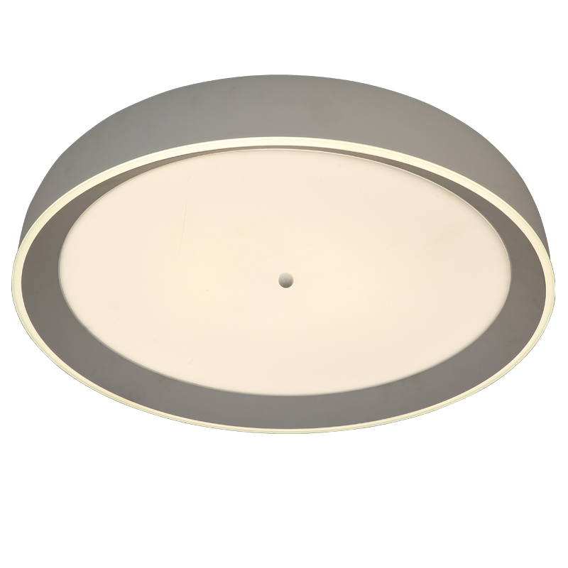 Simple Single Circle Warm Light Ceiling Lamp