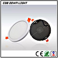 PL005-1 COB Down Light