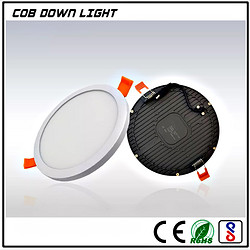 PL005-1 COB Down Light