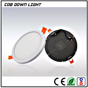 PL005-1 COB Down Light