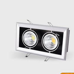 20W Spot Light