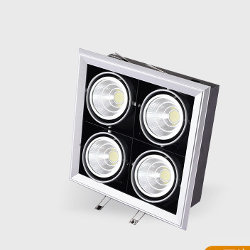 40W Spot Light