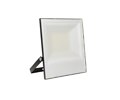 50W Floodlight