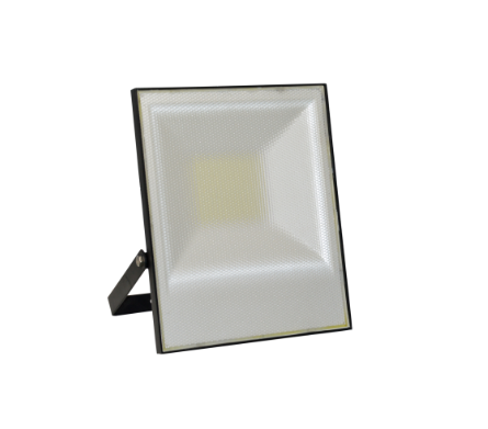 100W Floodlight