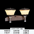 Torch Wall Lamp 2 (Brown)