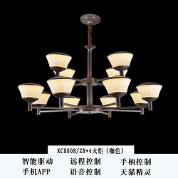 Z8+4 Torch (Brown)