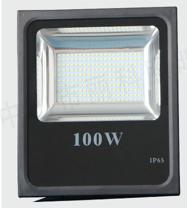 100W Floodlight