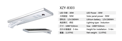 Solar street light XZY-8303