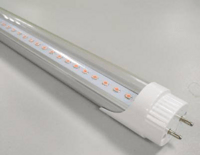 Patch fluorescent lamp