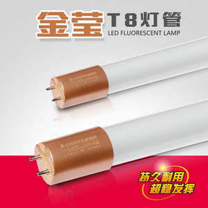 Jinying T8 tube ZGS-DG24C-01