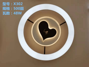 Ceiling light X302