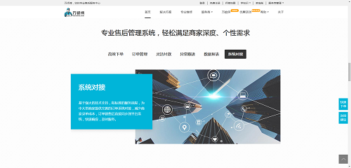 Professional After-sales Management System