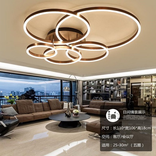 Modern Style Circle Living Room Ceiling Lamp