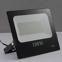 Simple Black 100W SMD Floodlight