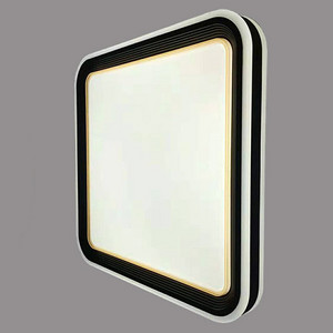 ST027 Circular Black-and-White Edged Warm Light Roof Lamp