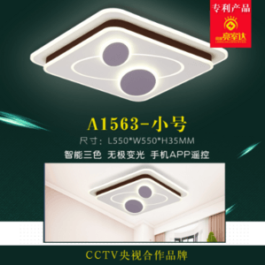 A1563-Small Rectangular Gray-White Simple Home Ceiling Lamp