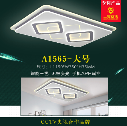 A1565-Large Rectangular Simple Home Ceiling Lamp