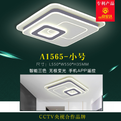 A1565-Small Rectangular Simple Home Ceiling Lamp