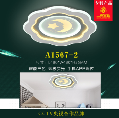 A1567-2 circular cartoon pattern ceiling lamp