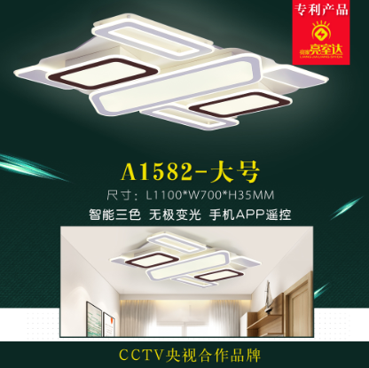 A1582-Large Simple Home Ceiling Lamp