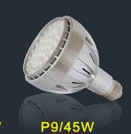 P9 45W Simple Energy-saving LED PAR Bulb